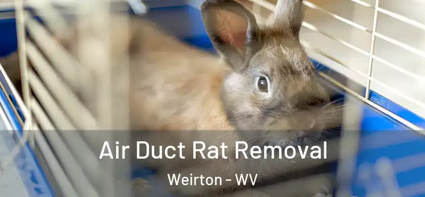  Air Duct Rat Removal Weirton - WV
