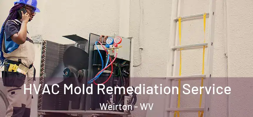  HVAC Mold Remediation Service Weirton - WV