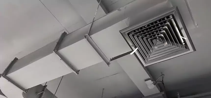 Restorative Allergy Relief Vent Cleaning – Coil, Blower & Housing Detail in Weirton