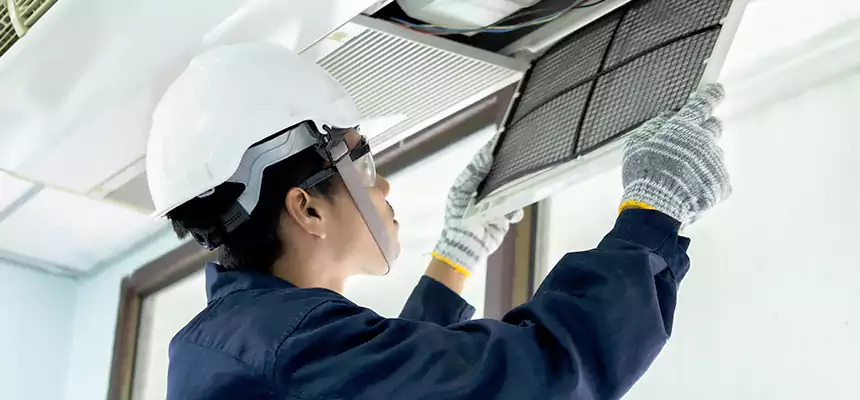 Our Mold & Mildew Removal from Air Ducts Services in Weirton, WV