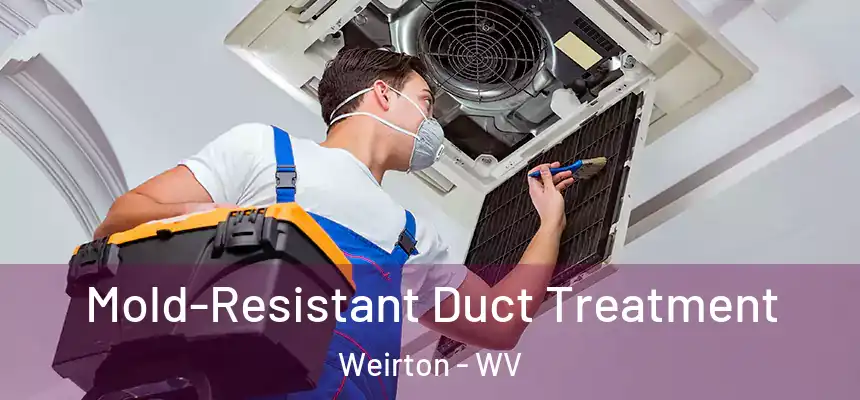  Mold-Resistant Duct Treatment Weirton - WV