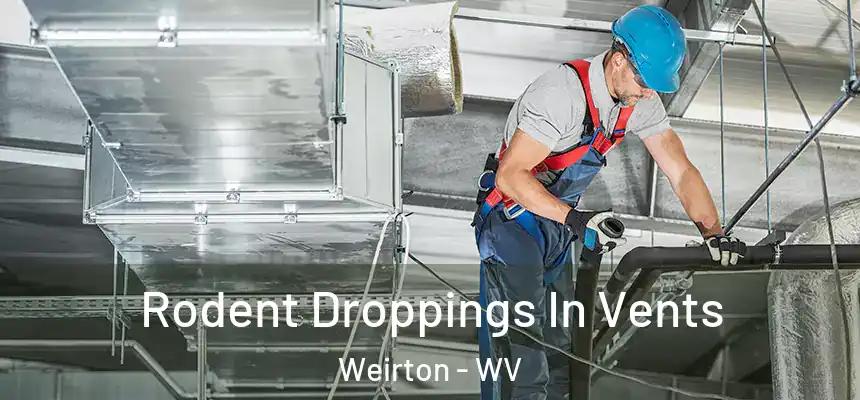  Rodent Droppings In Vents Weirton - WV