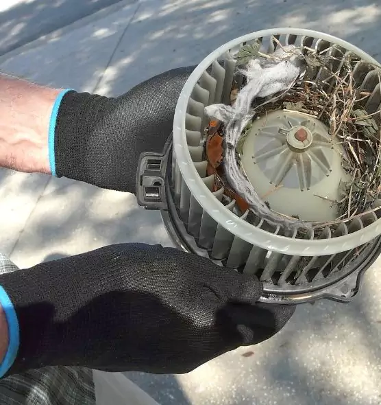 About Air Duct Rat Removal in Weirton, WV