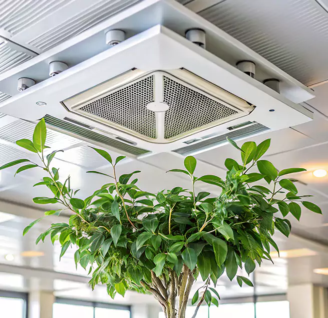 Why Homeowners & Businesses Trust Us in Weirton, WV